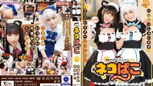  How To Make Your Kotone Look Like A Million Bucks